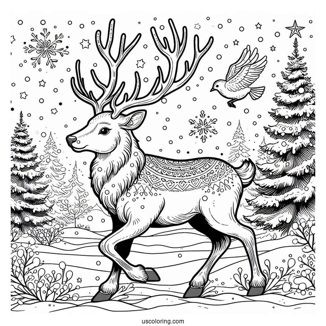 Wild Reindeer Walking In The Snow