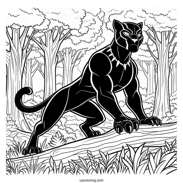 Black Panther In The Forest Coloring In
