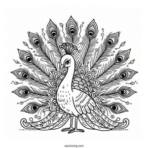 Peacock With Feathers Spread For Coloring