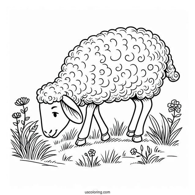 Sheep Grazing On A Farm Coloring Page