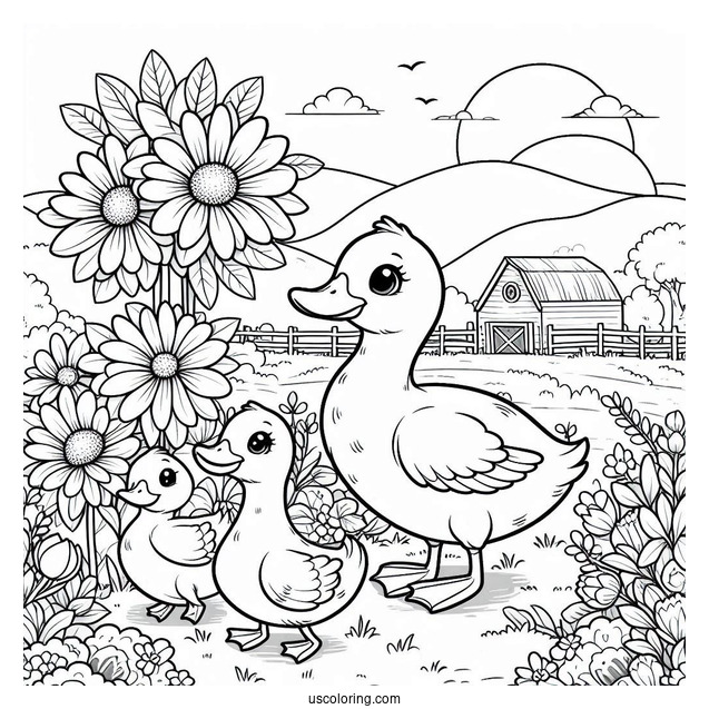 Farm Ducks Walking Through Flower Field