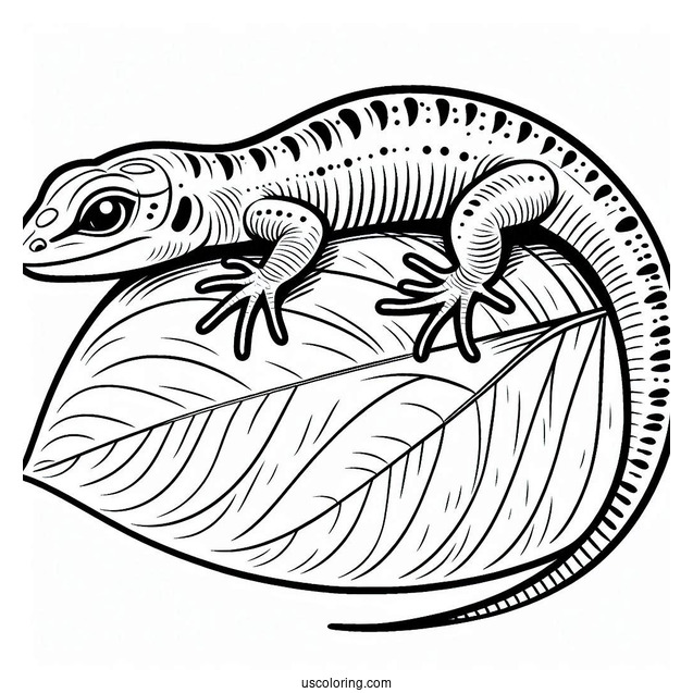 Sand Lizard Coloring Page On Leaf