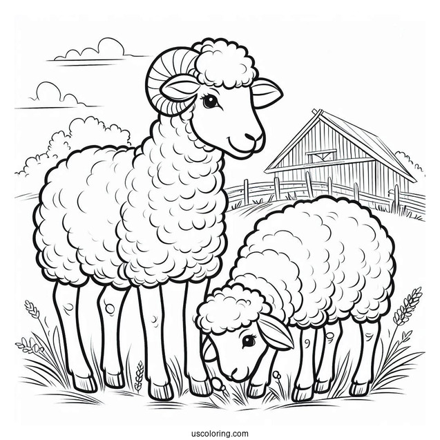 Sheep Grazing On A Farm Coloring Page