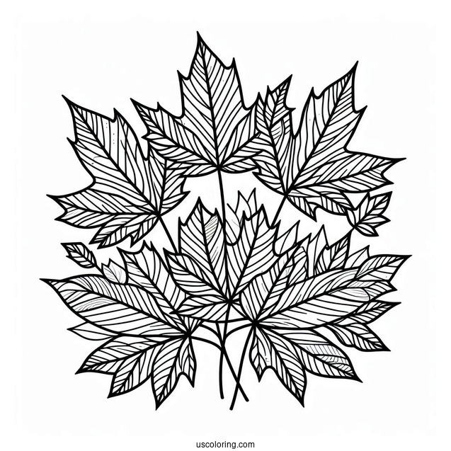 Maple Leaves Pattern Coloring Page