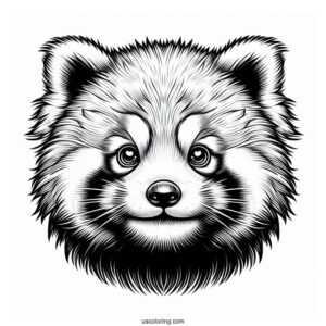 Realistic Red Panda Face Coloring Page