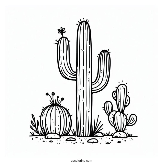 Simple Outline Of a Saguaro Cactus To Color