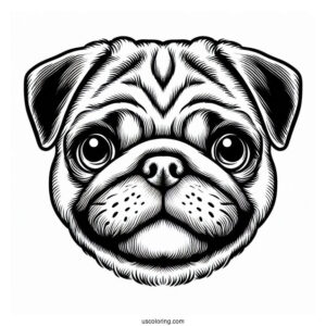 Detailed Pug Face Coloring Page