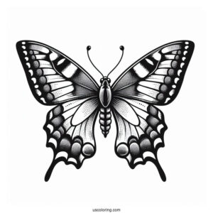 Old World Swallowtail Butterfly