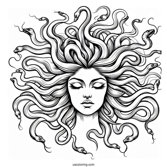 Simple Medusa Coloring Page With Head Full Of Snakes