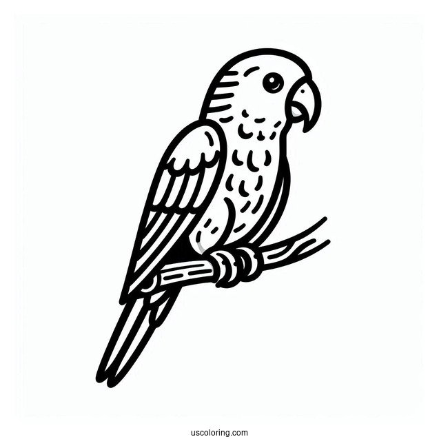 Easy Parrot To Color For Kids