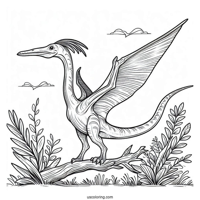 Pteranodon Dinosaur Coloring Page For Kids