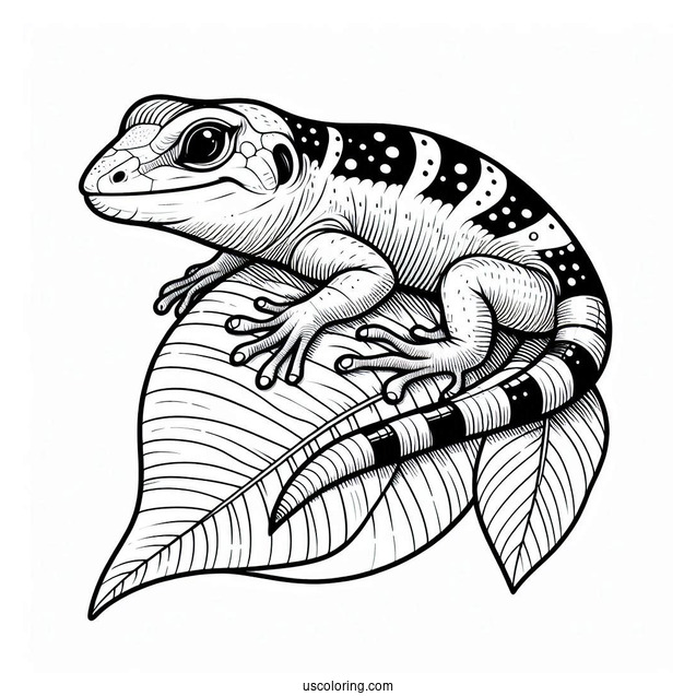 Sand Lizard Coloring Page On Leaf