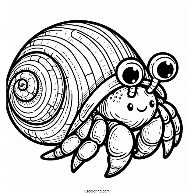 Cartoon Hermit Crab Coloring Page With Spiral Shell
