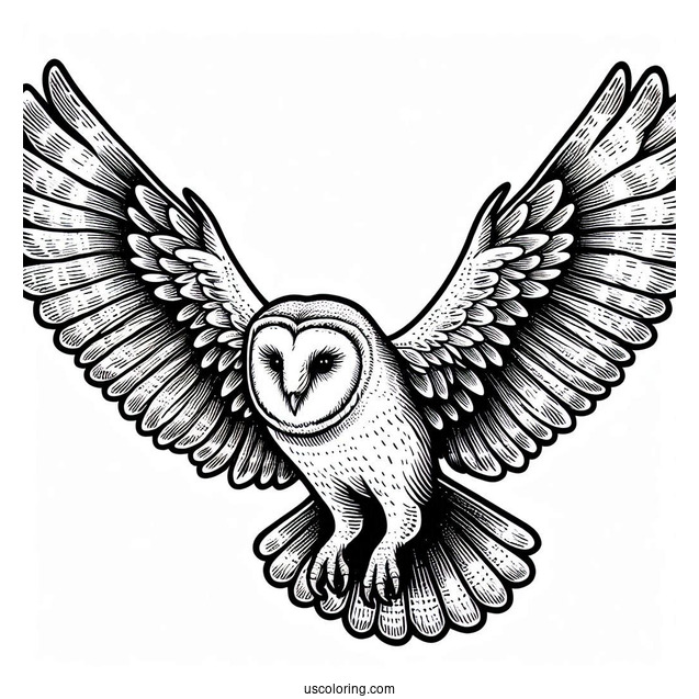 Barn Owl Flying With Large Wings