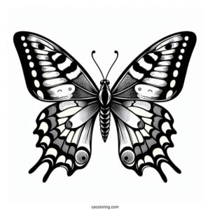 Old World Swallowtail Butterfly