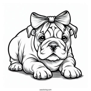 Bulldog In Play Bow Pose