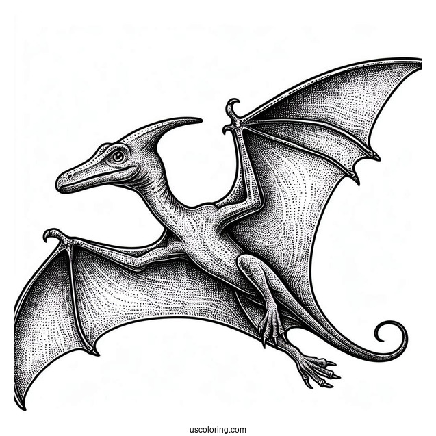Pterodactyl Coloring Page With Textured Skin And Detailed Wings