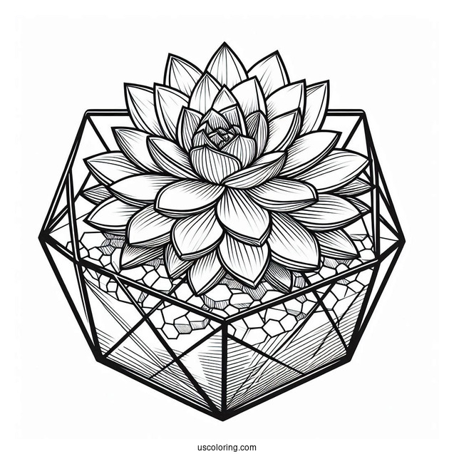 Succulent Coloring Page In Geometric Glass Terrarium