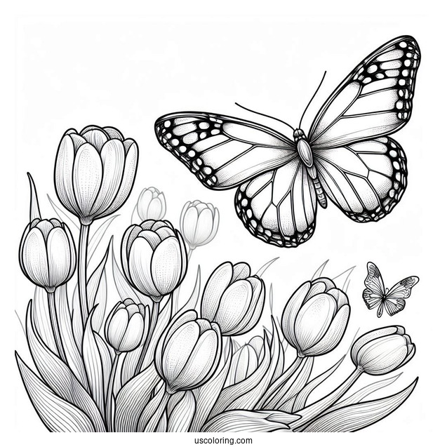 Realistic Outline Of Butterfly Hovering Over Tulips