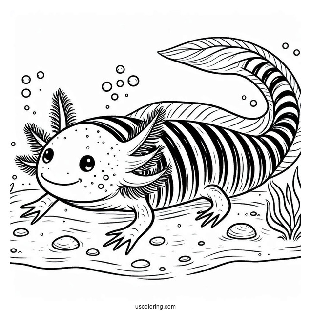 Striped Axolotl Coloring Page Swimming Towards The Sea Floor