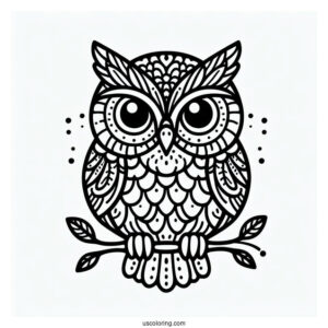 Simple Outline Of Owl To Color