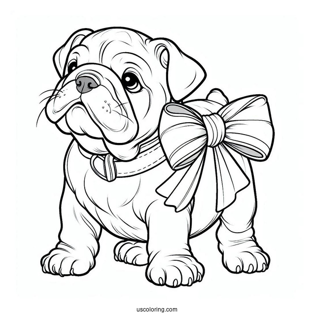 Bulldog In Play Bow Pose