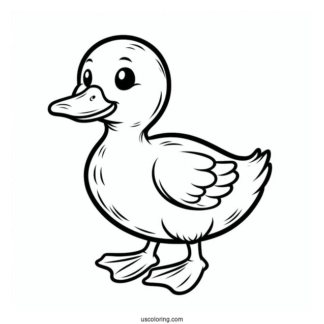 Simple Outline Of a Duckling To Color
