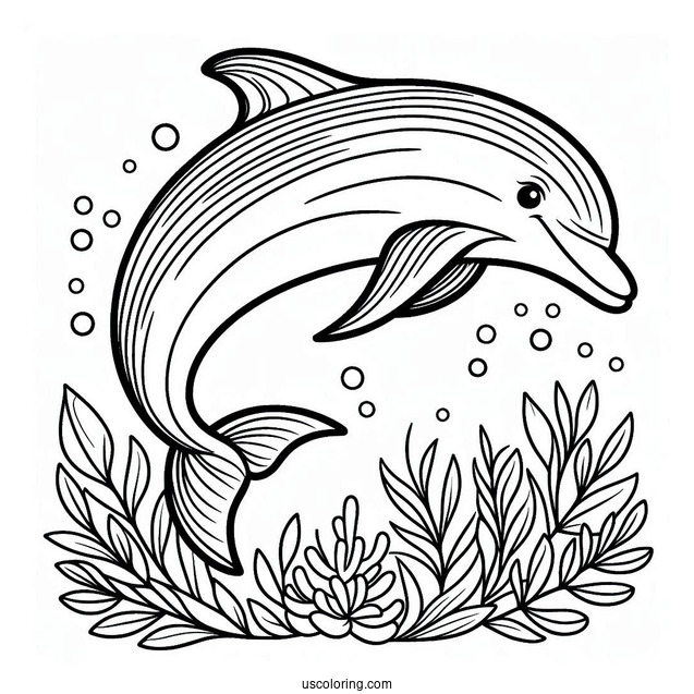 Striped Dolphin Coloring Page