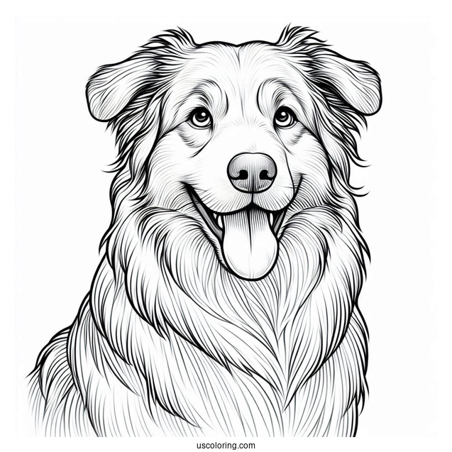 Coloring Page Of Realistic Australian Shepherd