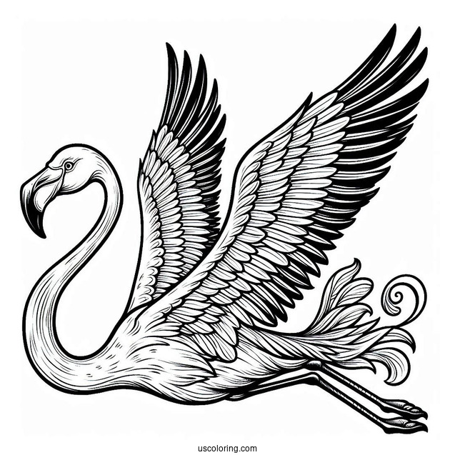 Flamingo Flying With Wings Spread Wide Open