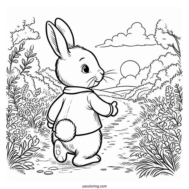 Easy Peter Rabbit Coloring Page Walking Down A Path