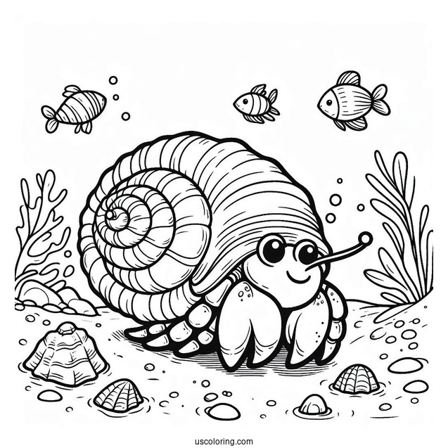 Cartoon Hermit Crab Coloring Page With Spiral Shell