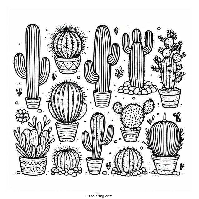 Various Cactus In Arizona Dessert To Color