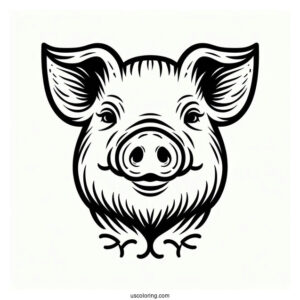 Simple Outline Of a Pigs Head To Color