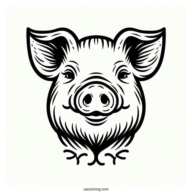 Simple Outline Of a Pigs Head To Color