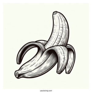 Simple Outline Of Peeled Banana