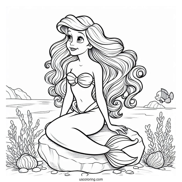 Ariel Sitting On Rock