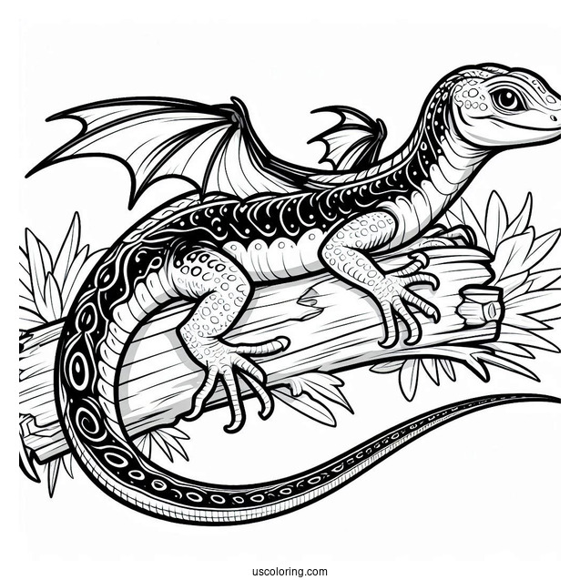 Draco Flyzard Lizard Coloring Page