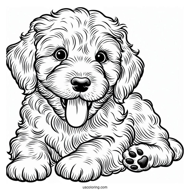 Labradoodle Puppy With Tongue Out Coloring Sheet
