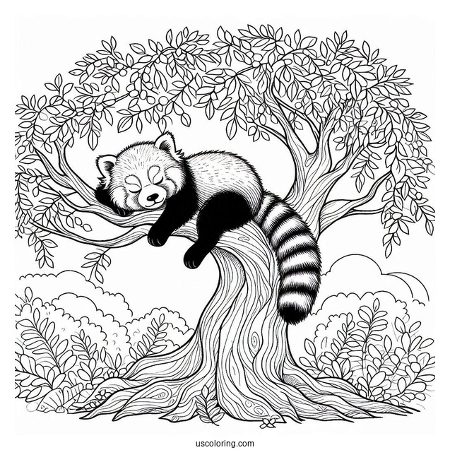Red Panda Sleeping In Tree