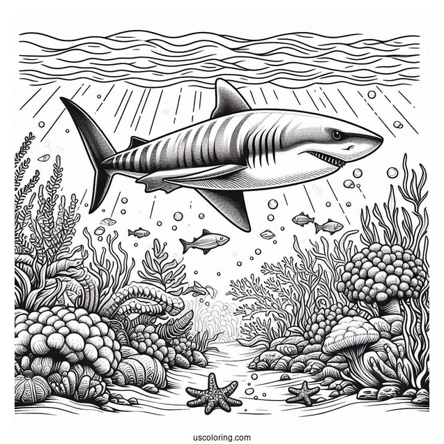 Tiger Shark Coloring Page Deep In The Ocean