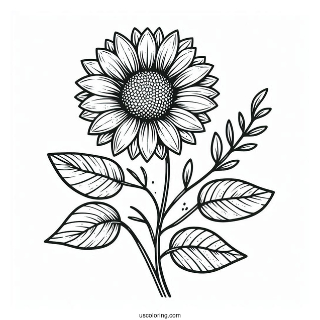 Flower Coloring Pages Of Blushing Sunflower For Preschoolers