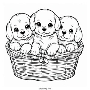 Three Puppies In Basket