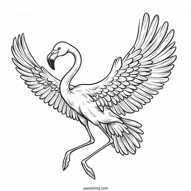 Flamingo Flying With Wings Spread Wide Open
