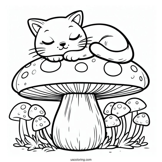 Cat Sleeping On Big Mushroom