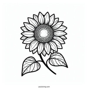 Flower Coloring Pages Of Sunflower Head Outline For Kids