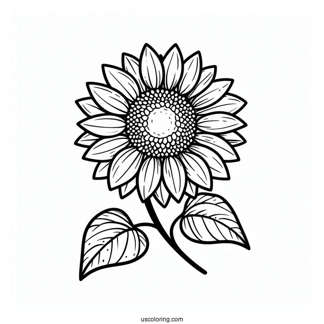 Flower Coloring Pages Of Sunflower Head Outline For Kids