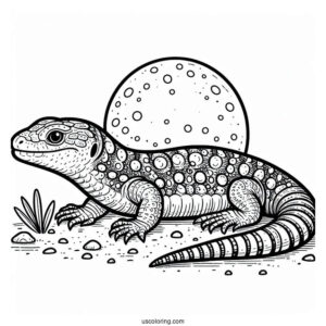 Shingleback Lizard Coloring Page