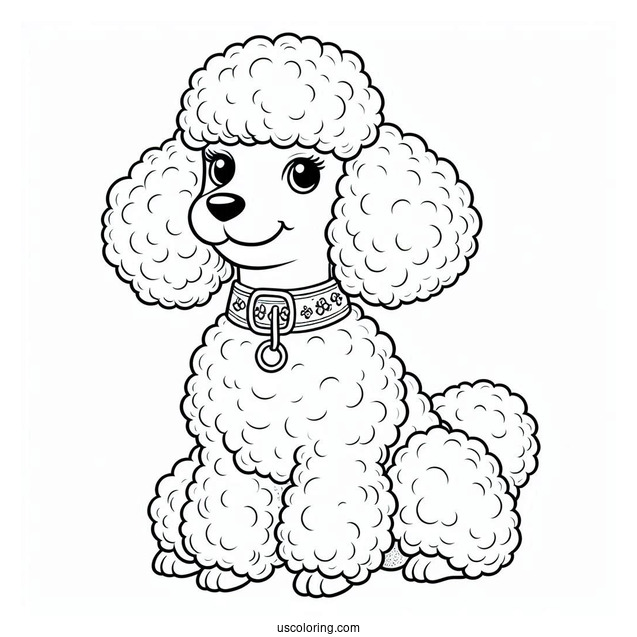 Poodle Dog With Collar