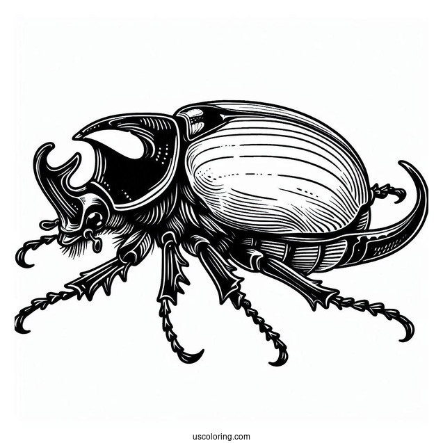 Eastern Hercules Beetle Coloring Page